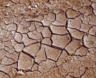 Dry earth